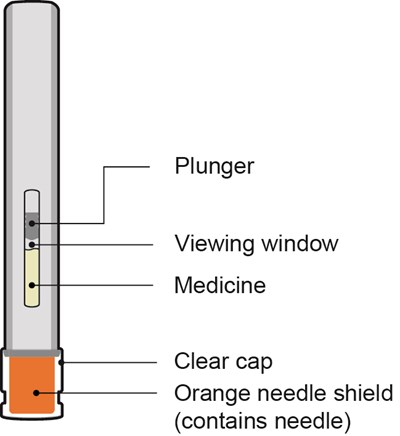 2_autoinjector Parts.jpg (2 Autoinjector Parts)